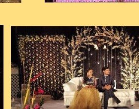 Branch & Crystal Stage Seating - Chana Jor Garam Artist Booking India