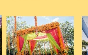 Greenery Wall with Marigold Swags - Chana Jor Garam Artist Booking India