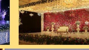 Dense Floral Wall Stage - Chana Jor Garam Artist Booking India