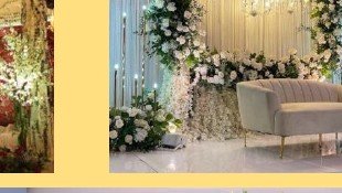 Greenery Arch Stage - Chana Jor Garam Artist Booking India